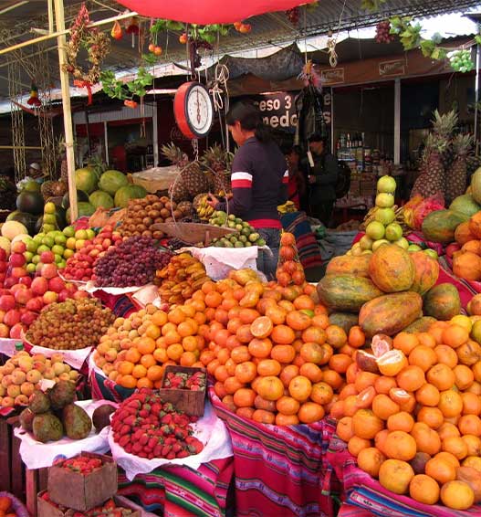 اقتصاد کشور جزیره ای سنت لوسیا به تولید و صادرات محصولات کشاورزی مانند موز، انبه و آووکادو وابسته است.
